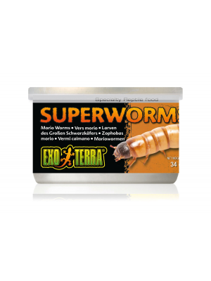 Exo Terra Canned Superworms 34gm
