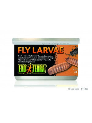 Exo Terra Black Solder Fly Larvae 34gm