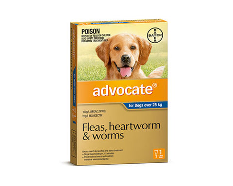 ADVOCATE DOGS OVER 25KGS6X 0.4ML