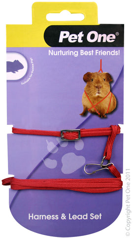 LEAD/HARNESS RED GUINEA PIG 49232R