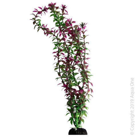 Ecoscape Xlarge Rotala Red