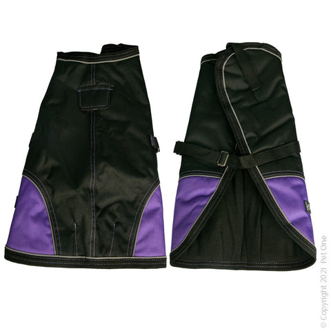Dog Coat NightWalker 45cm W Proof Refl Black Purple