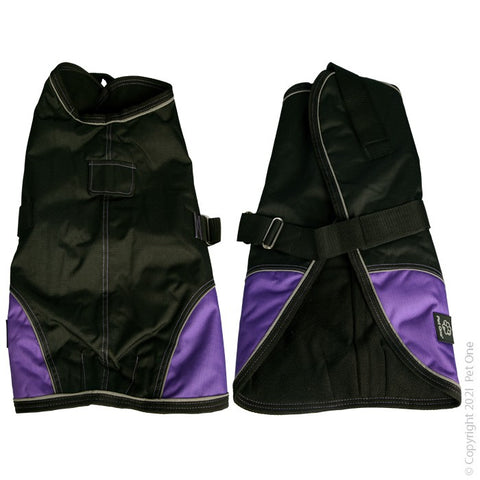 Dog Coat NightWalker 55cm W Proof Refl Black Purple