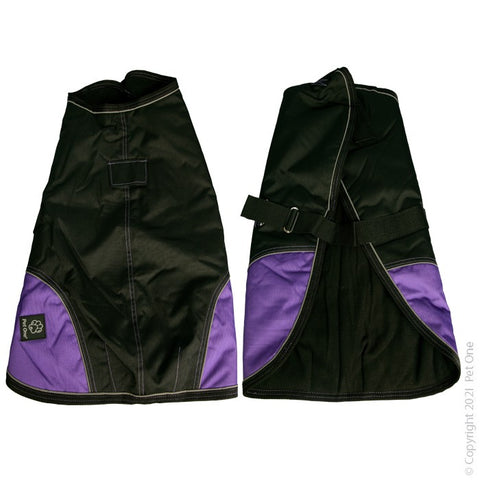 Dog Coat NightWalker 65cm W Proof Refl Black Purple