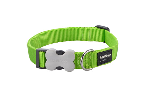 12MM CLASSIC LIME GREEN COLLAR