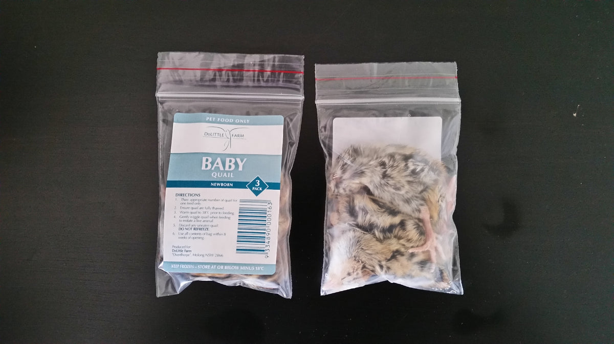Picture of QUAIL- BABY FROZEN (3 PACK) – TAMWORTH PET CENTRE