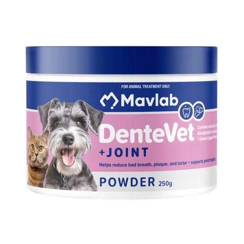 250G DENTEVET + JOINT MAVLAB