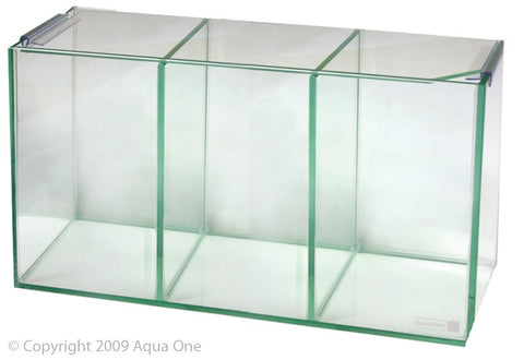 Betta Trio Cube Glass W Lid 36x12x20cm