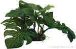 Silk Plant Large Green Leaf On Rock Md 23x19x13cm