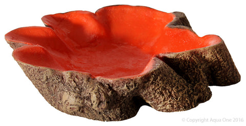 Hermit Crab Tree Stump Bowl Orange Large 14 x10x3c