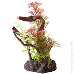 Bettascape Mayaca Fern On Driftwood Green