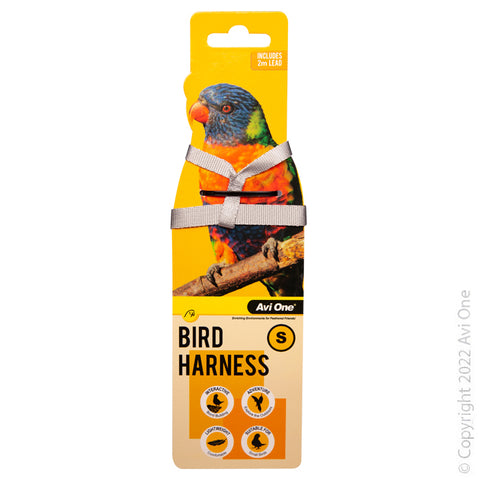 Bird Harness With Shock Resistant Lead Small