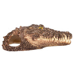 Ornament Crocodile Head Large 9wx20dx7cmh