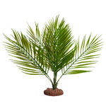 Reptile Plant Lg Palor Palm Green With Ceramic Base