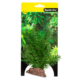 Reptile Plant Sm Sago Palm Green With Ceramic Base