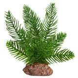 Reptile Plant Sm Sago Palm Green With Ceramic Base