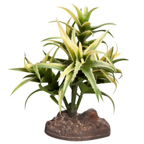 Reptile Plant Sm Flexuosa Green With Ceramic Base