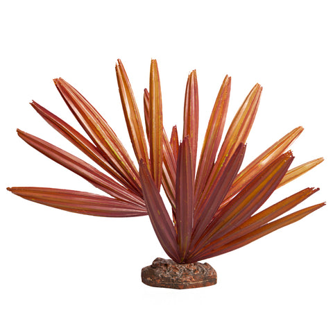 Reptile Plant Lg Chambeyronia Red With Ceramic Base