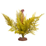 Reptile Plant Lg Eagle Fern Green With Ceramic Base