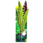 Reptile Hanging Plant 40cm Birds Nest Fern Red Green W suction Cup