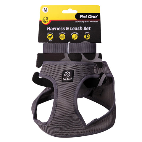 Harness & Leash Set Dog 41-44cm Gy