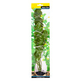Ecoscape Large Ruffled Lace Plant