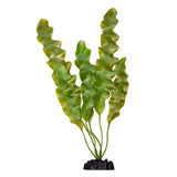 Ecoscape Large Ruffled Lace Plant