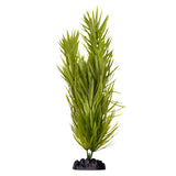 Ecoscape Large Pogostemun