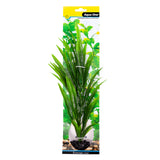 Ecoscape Large Crinum