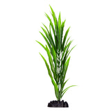 Ecoscape Large Crinum