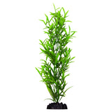 Ecoscape Large Hygrophilia