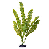 Ecoscape XXLarge Ruffled Lace Plant