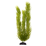Ecoscape XXLarge Pogostemun