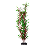 Ecoscape XXLarge Red Ludwigia