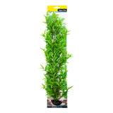 Ecoscape XXLarge Hygrophilia