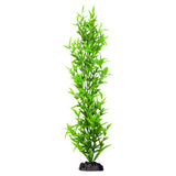 Ecoscape XXLarge Hygrophilia