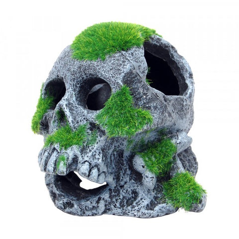 Bioscape Moss Covered Skull 12 x 13cm