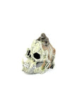 Bioscape Gorilla Skull 18 x 13 x 16cm
