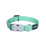 15MM CLASSIC PASTEL GREEN COLLAR