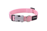 15MM CLASSIC PASTEL PINK COLLAR