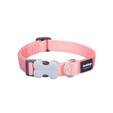 15MM CLASSIC PASTEL ORANGE COLLAR