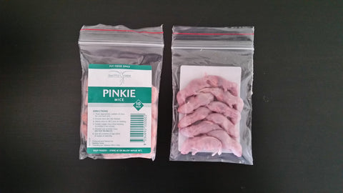 MICE- PINKIES FROZEN (10 PACK)