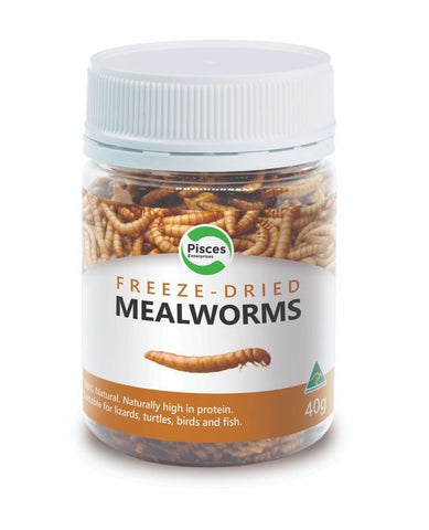 40g FREEZEDRIED MEALWORMS PISCES