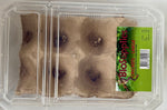 CRICKETS LARGE FLIP TOP