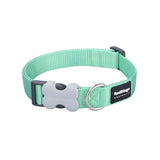 15MM CLASSIC PASTEL GREEN COLLAR