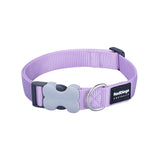 15MM CLASSIC PASTEL PURPLE COLLAR