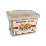 100G MEAL WORMS